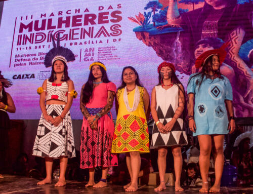 Mulheres do bioma Amazônia  participam da III Marcha das Mulheres Indígenas com apoio do Podáali