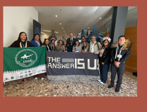 Coiab e Podáali apresentam prioridades climáticas em Conferência de Bonn