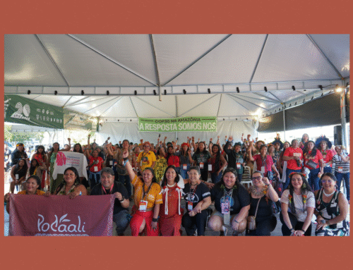 Podáali e UMIAB em Rede na IV Marcha das Mulheres Indígenas, promovendo  construção coletiva de e para as mulheres indígenas da Amazônia