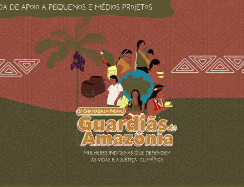 3ª Chamada do Podáali “Guardiãs da Amazônia”: Mulheres Indígenas que defendem as Vidas e a Justiça Climática