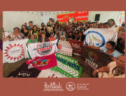 Podáali lança 3ª Chamada “Guardiãs da Amazônia” na COP30