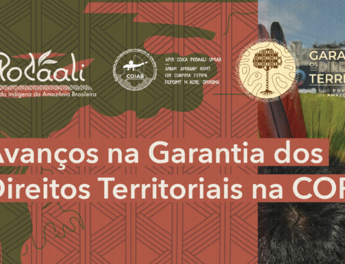 Avanços na Garantia dos Direitos Territoriais na COP30