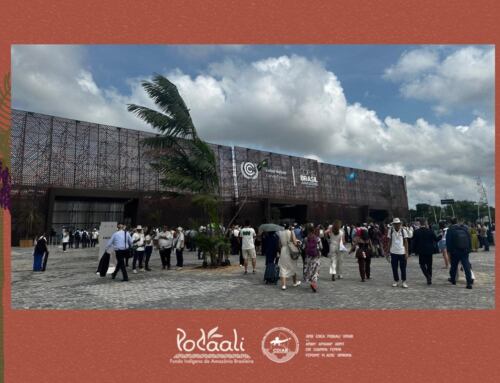 Financiamento direto aos territórios ganha força com agenda do Podáali na COP30