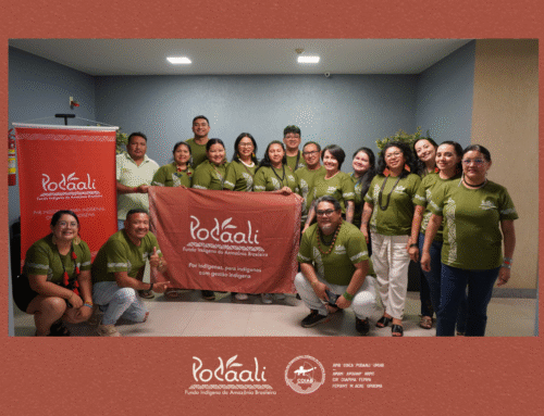 11ª Reunião do Conselho Deliberativo do Podáali fortalece governança indígena