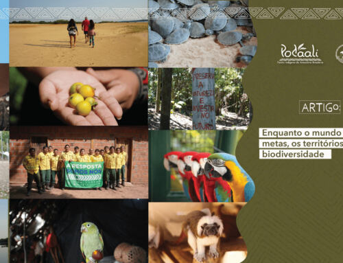 Enquanto o mundo debate metas, os territórios mantêm a biodiversidade